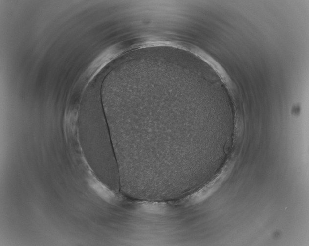 X0000116870809201002021126