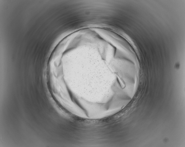 X0000116870811201002021126