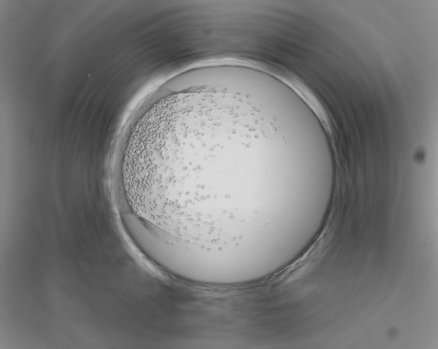 X0000116870813201002021126