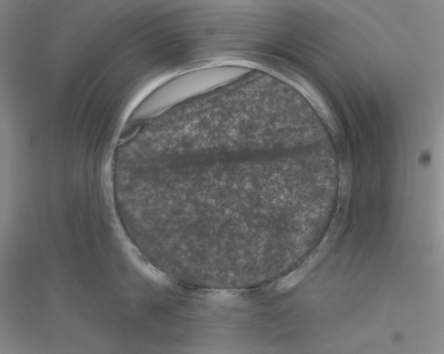 X0000116870814201002021126