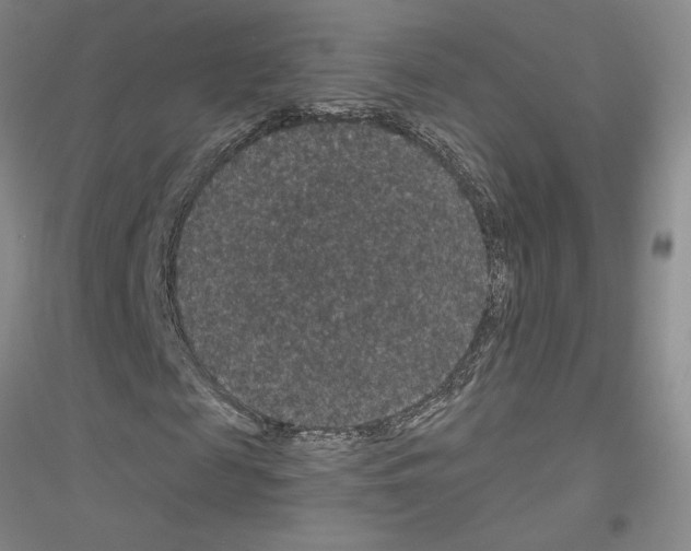 X0000116870817201002021125