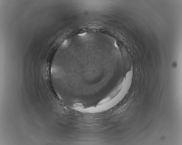 X0000116870818201002021125
