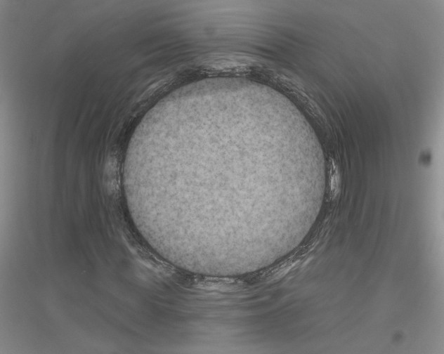 X0000116870819201002021125