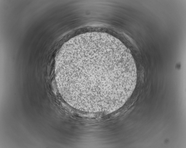 X0000116870821201002021125