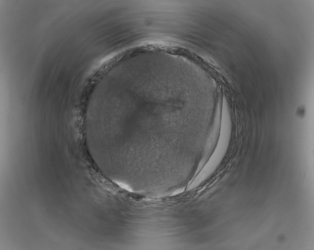 X0000116870822201002021125