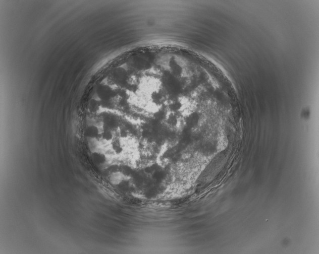 X0000116870823201002021125