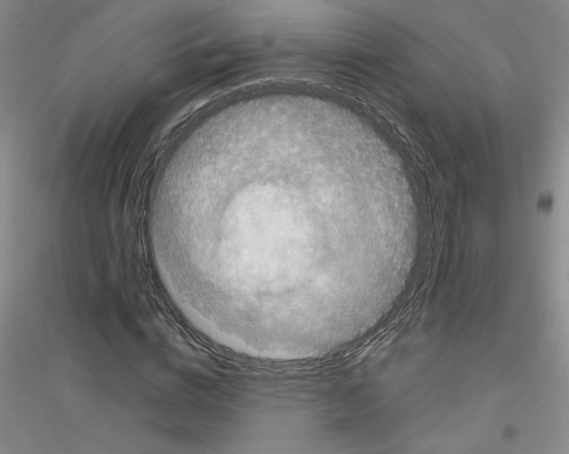 X0000116870824201002021125