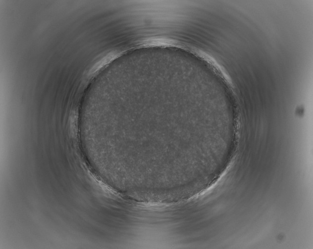 X0000116870825201002021125