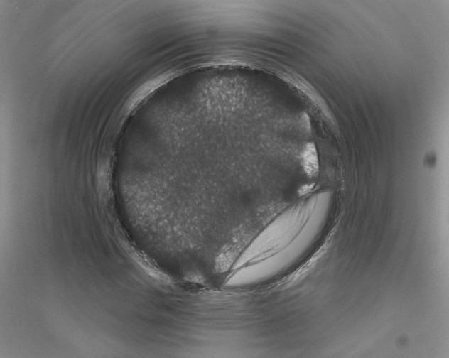 X0000116870826201002021125