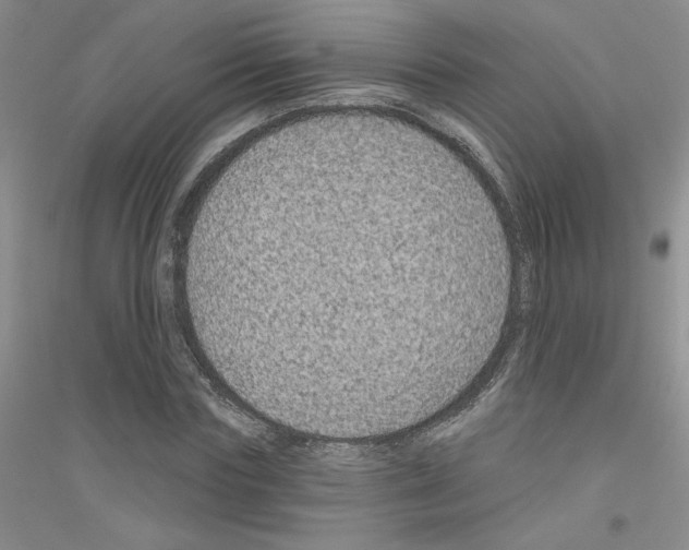 X0000116870827201002021125