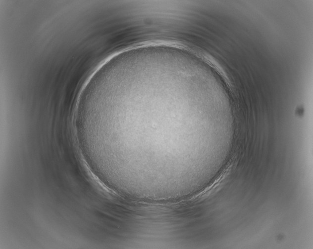 X0000116870828201002021125
