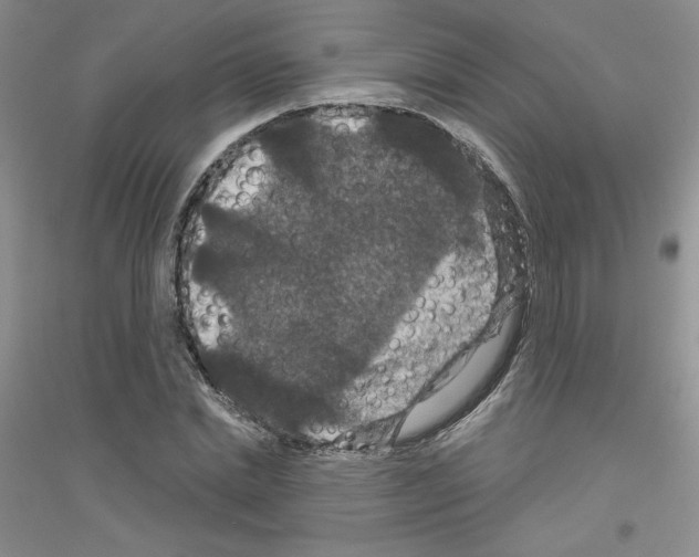 X0000116870830201002021125