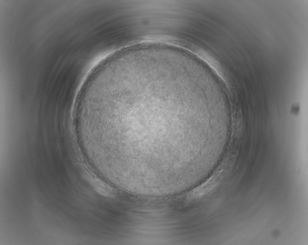 X0000116870832201002021125