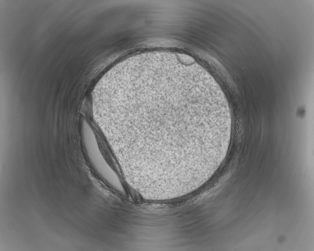 X0000116870833201002021125