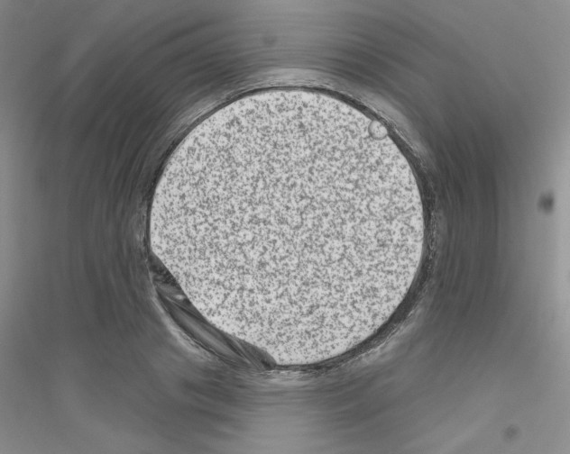 X0000116870841201002021125