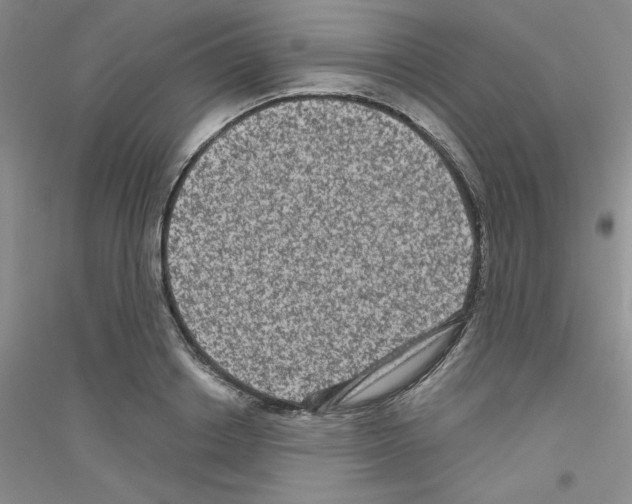 X0000116870842201002021125