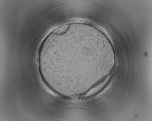 X0000116870843201002021125
