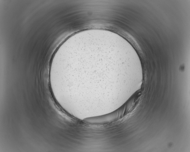 X0000116870844201002021125