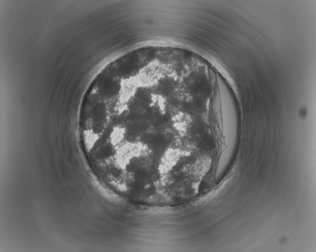 X0000116870845201002021125
