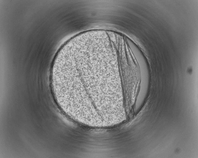 X0000116870846201002021125