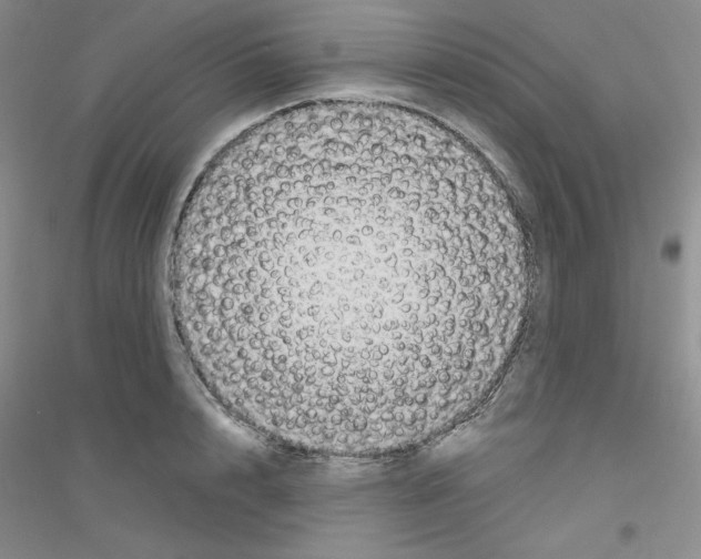X0000116870848201002021125