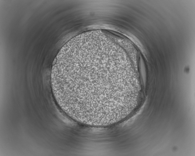 X0000116870849201002021125