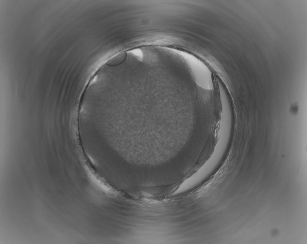 X0000116870850201002021126