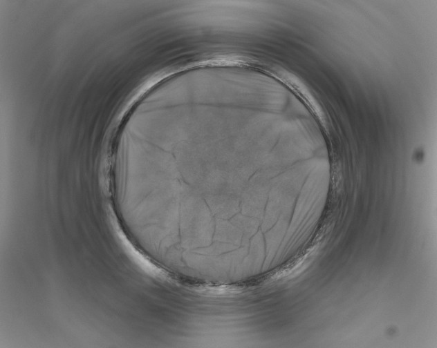 X0000116870851201002021126