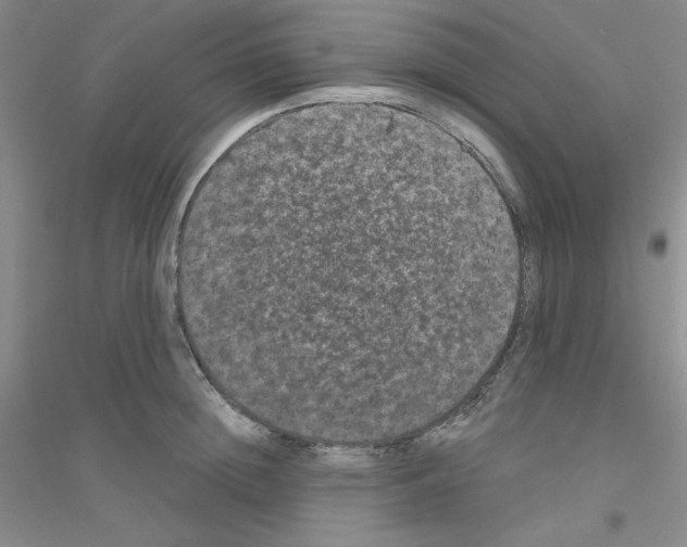 X0000116870852201002021126