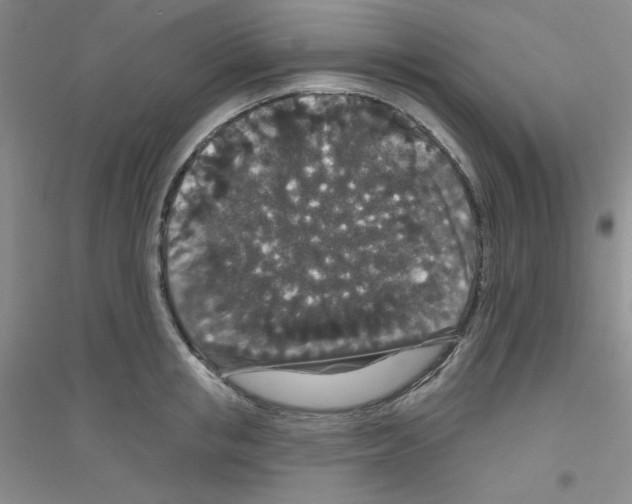 X0000116870853201002021126