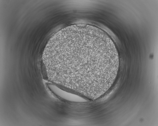X0000116870857201002021126