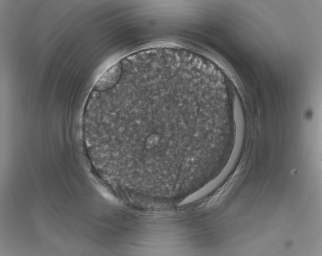 X0000116870858201002021126