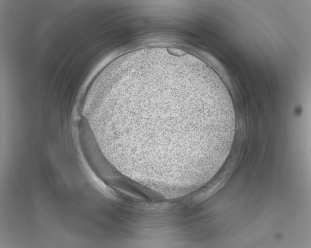 X0000116870859201002021126