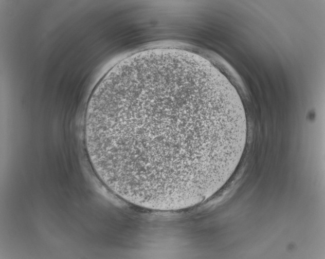 X0000116870860201002021126
