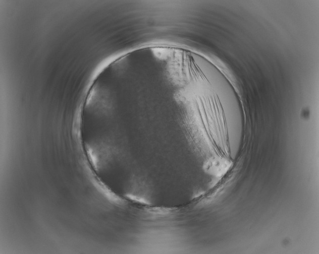 X0000116870862201002021126