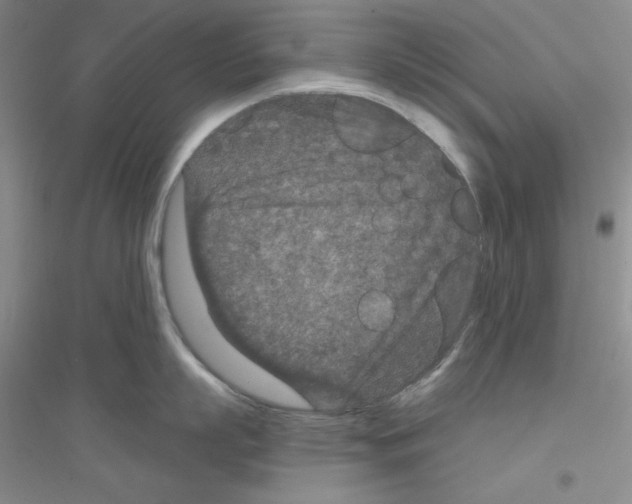 X0000116870863201002021126