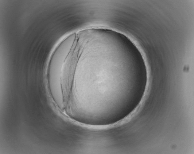 X0000116870864201002021126