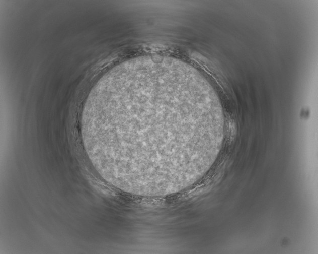 X0000116870865201002021125