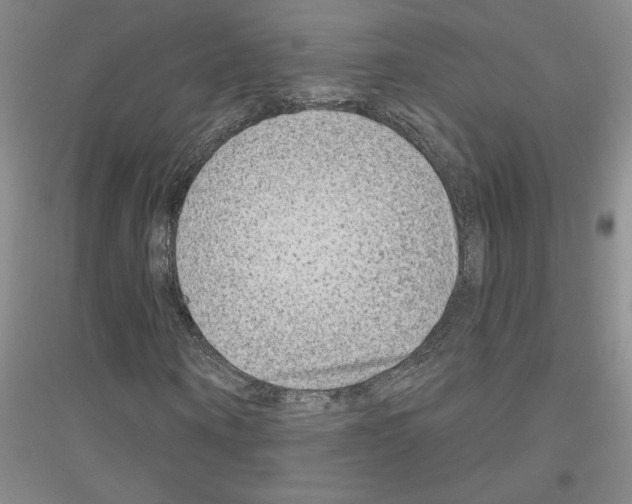 X0000116870866201002021125