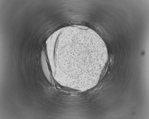X0000116870867201002021125