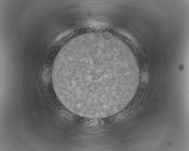 X0000116870869201002021125