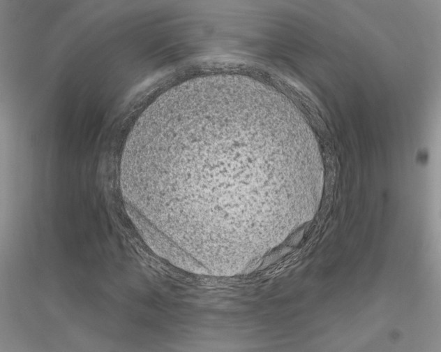 X0000116870870201002021125