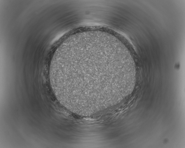 X0000116870871201002021125