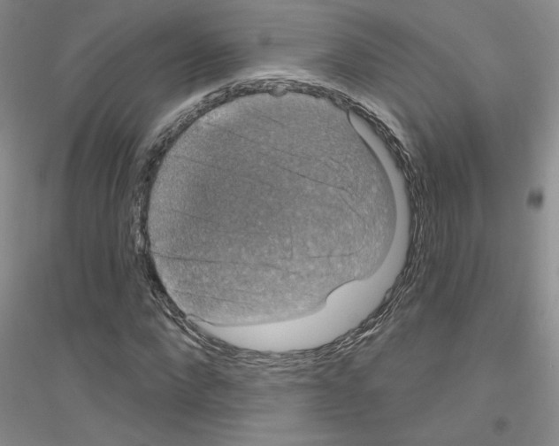 X0000116870872201002021125