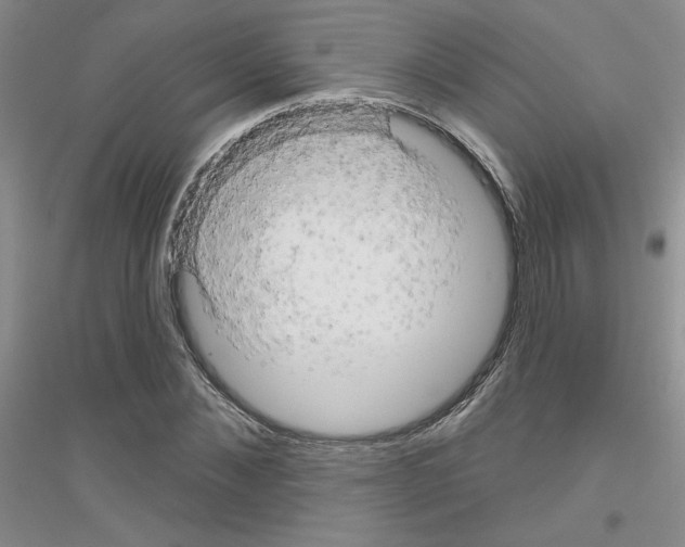 X0000116870876201002021125