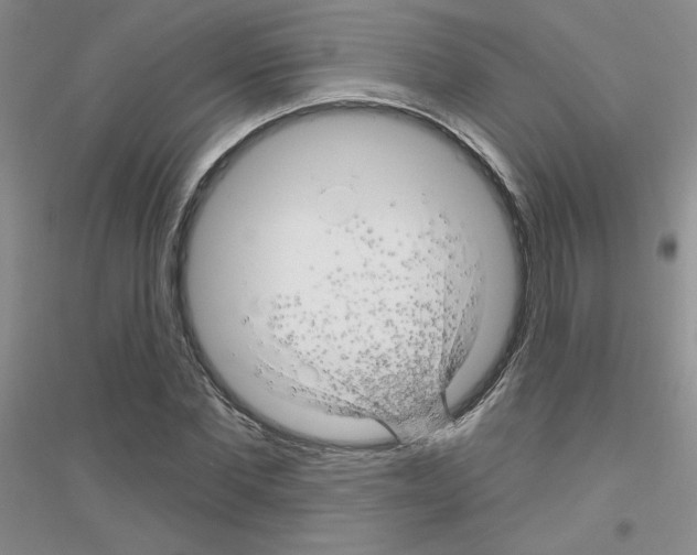 X0000116870877201002021125