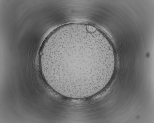 X0000116870883201002021125