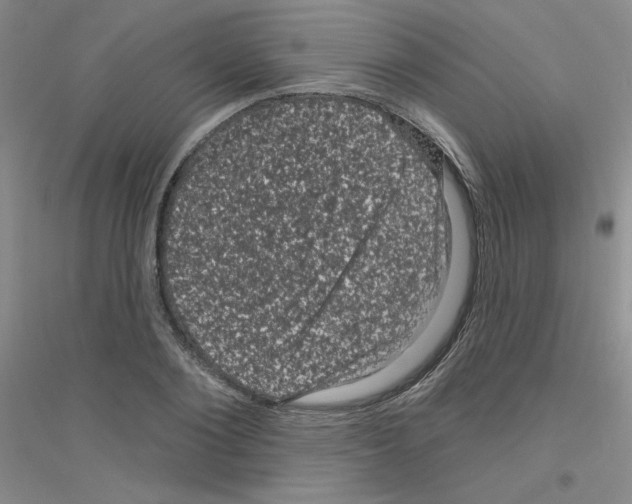 X0000116870884201002021125