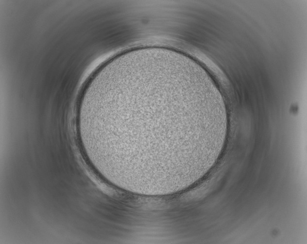 X0000116870886201002021125