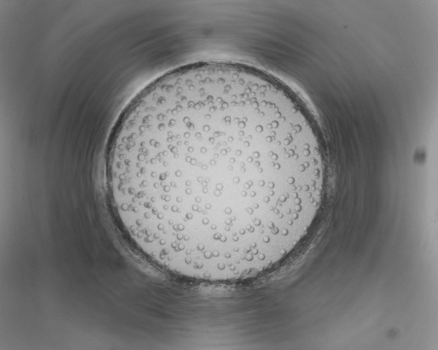 X0000116870887201002021125